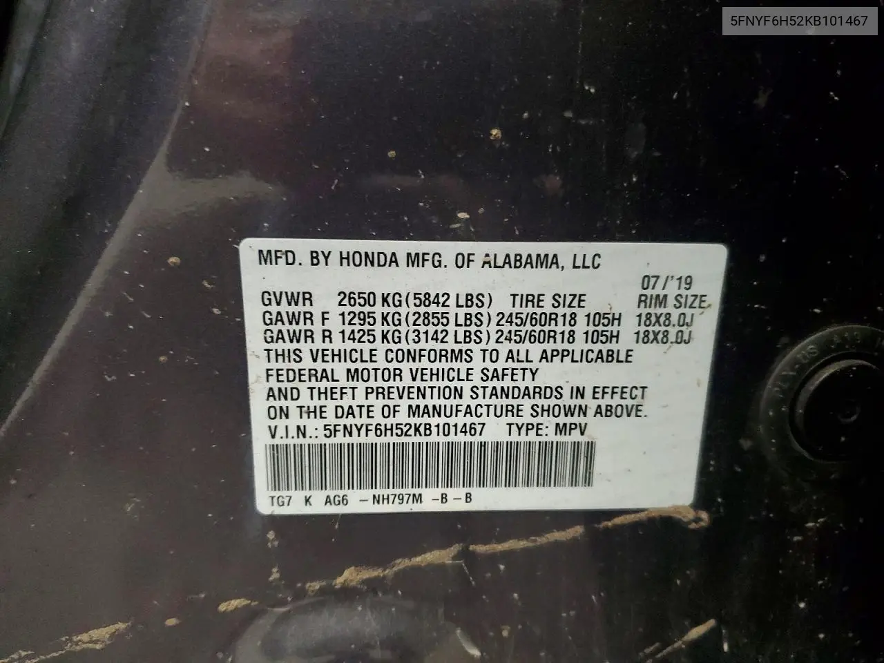 2019 Honda Pilot Exl VIN: 5FNYF6H52KB101467 Lot: 59723536