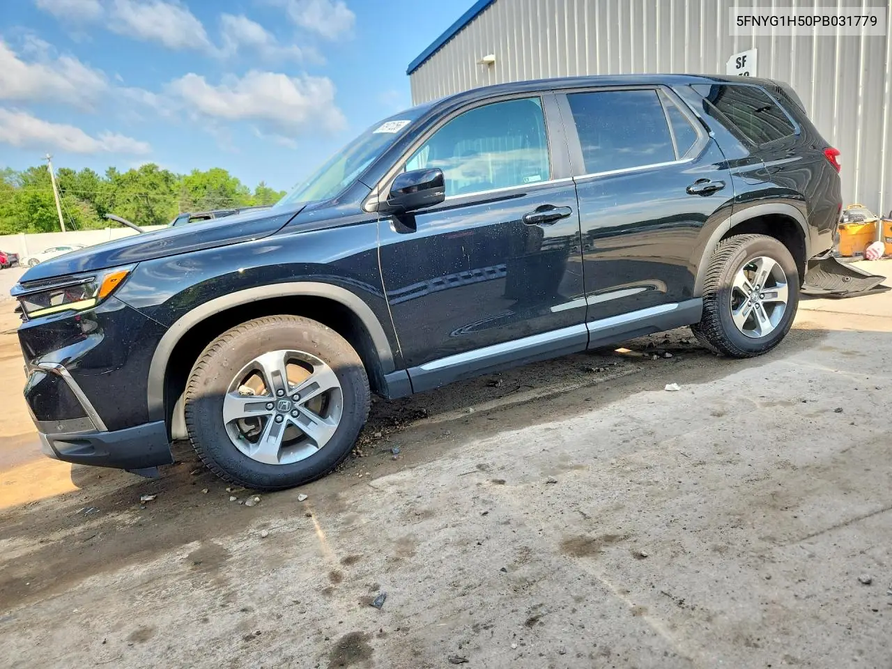 2023 Honda Pilot Exl VIN: 5FNYG1H50PB031779 Lot: 61971256