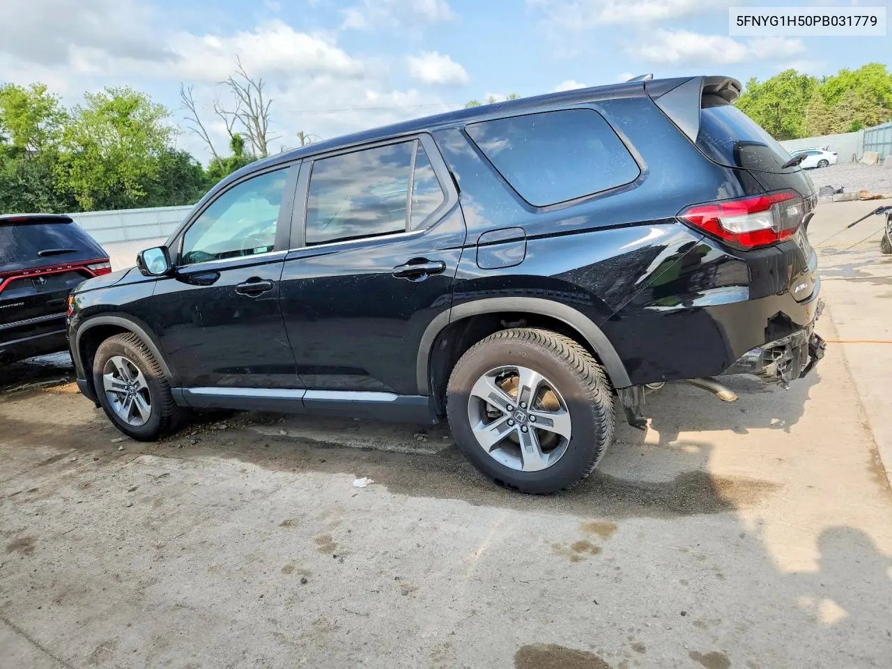 2023 Honda Pilot Exl VIN: 5FNYG1H50PB031779 Lot: 61971256