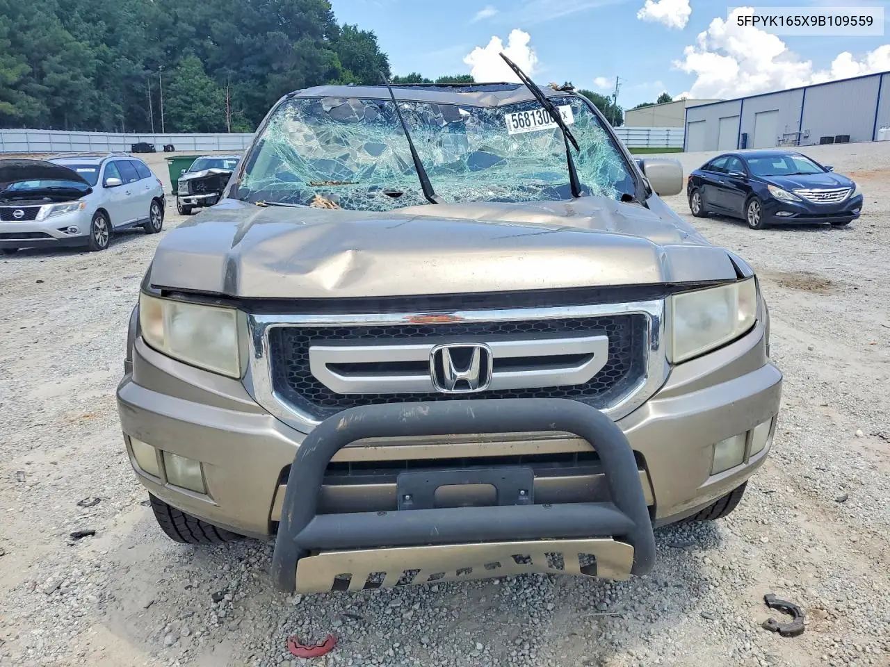 2009 Honda Ridgeline Rtl VIN: 5FPYK165X9B109559 Lot: 56813066