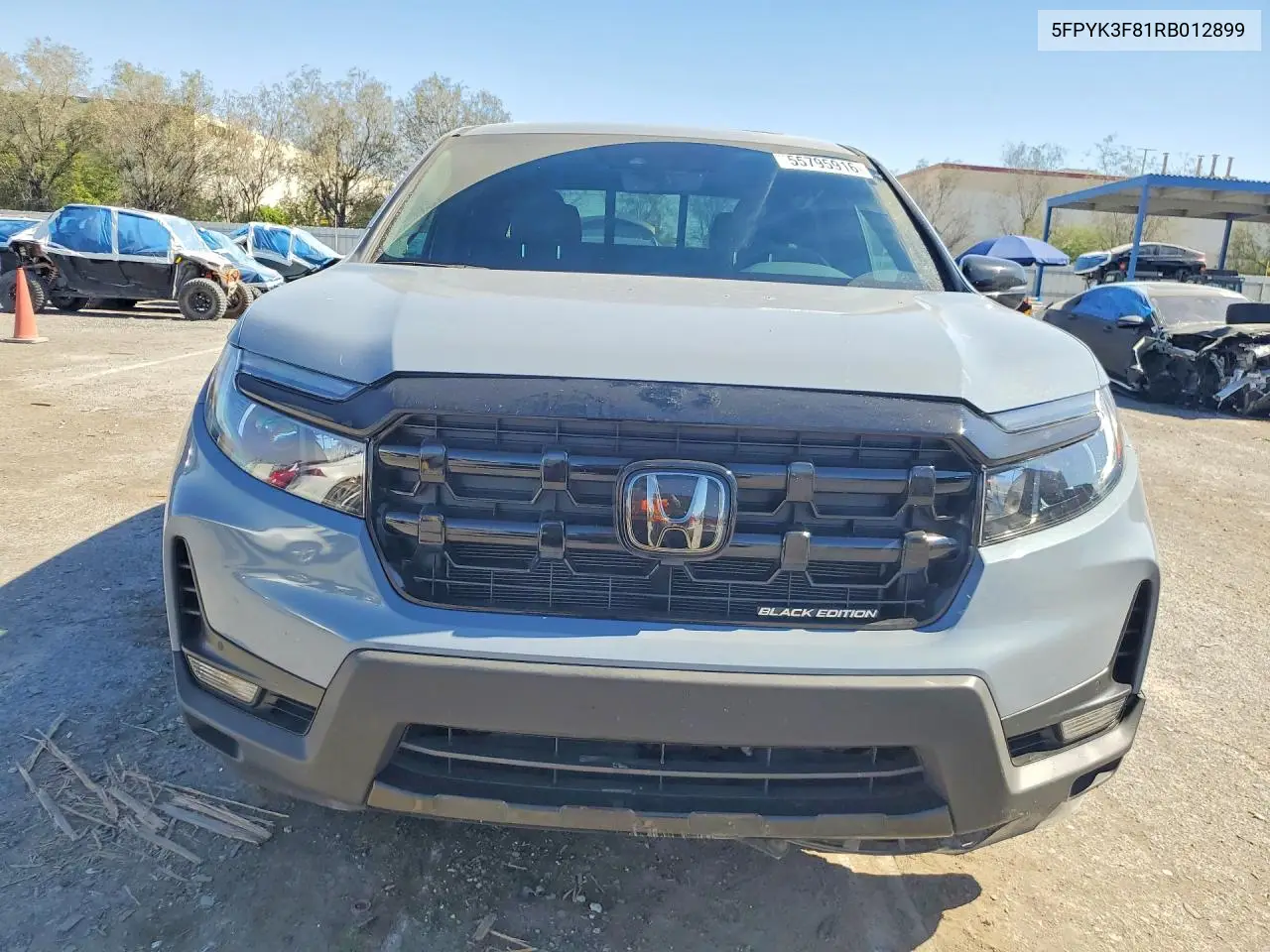 2024 Honda Ridgeline Black Edition VIN: 5FPYK3F81RB012899 Lot: 55795916