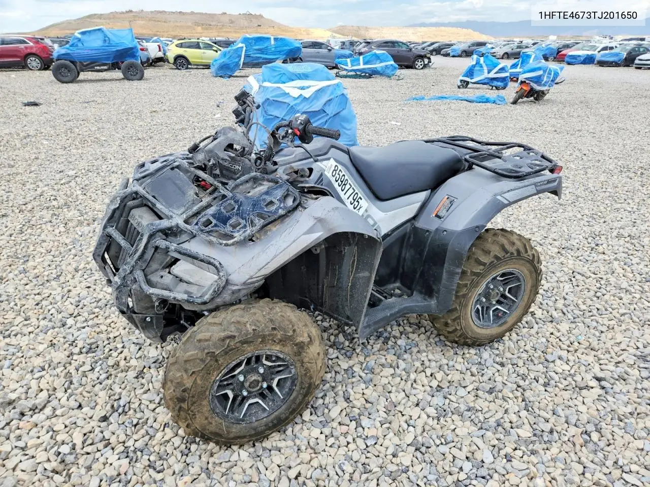2026 Honda Rubicon Atv VIN: 1HFTE4673TJ201650 Lot: 85987795