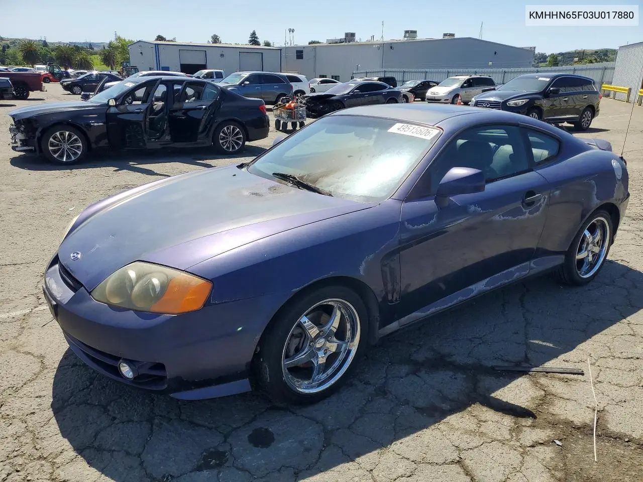 2003 Hyundai Tiburon Gt VIN: KMHHN65F03U017880 Lot: 49515606