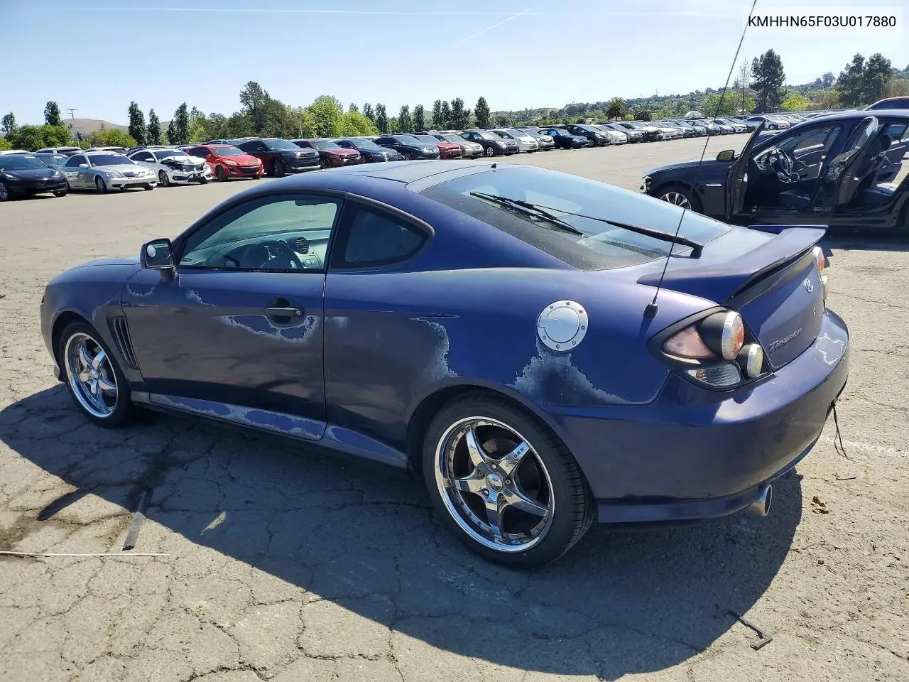 2003 Hyundai Tiburon Gt VIN: KMHHN65F03U017880 Lot: 49515606