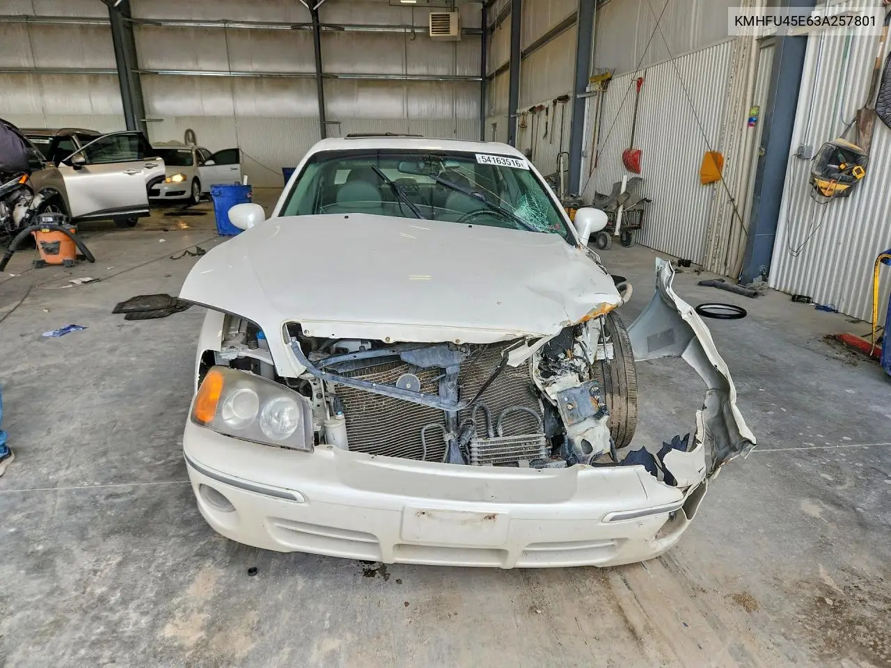 2003 Hyundai Xg 350 VIN: KMHFU45E63A257801 Lot: 54163516