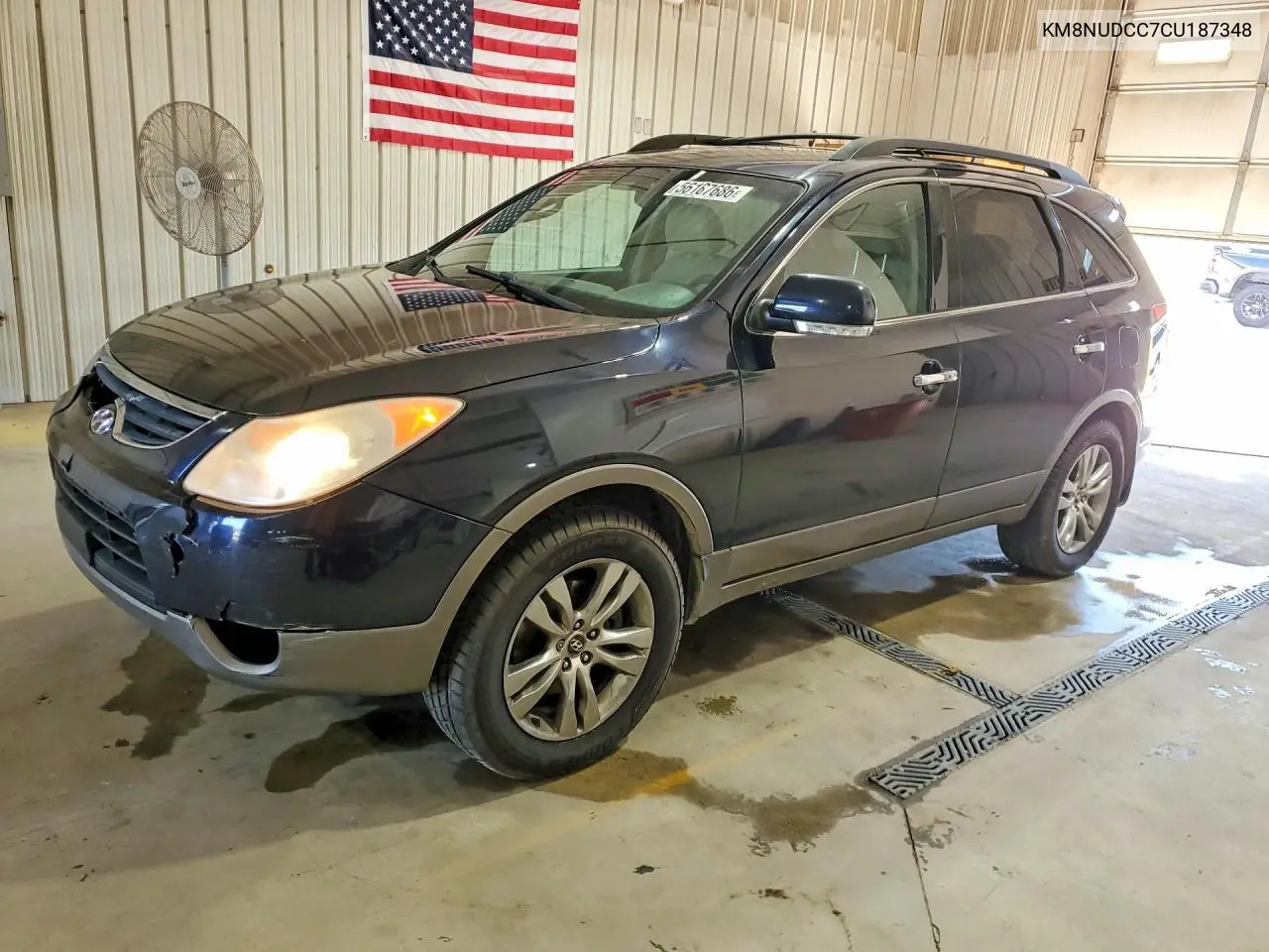 2012 Hyundai Veracruz Limited VIN: KM8NUDCC7CU187348 Lot: 56167686