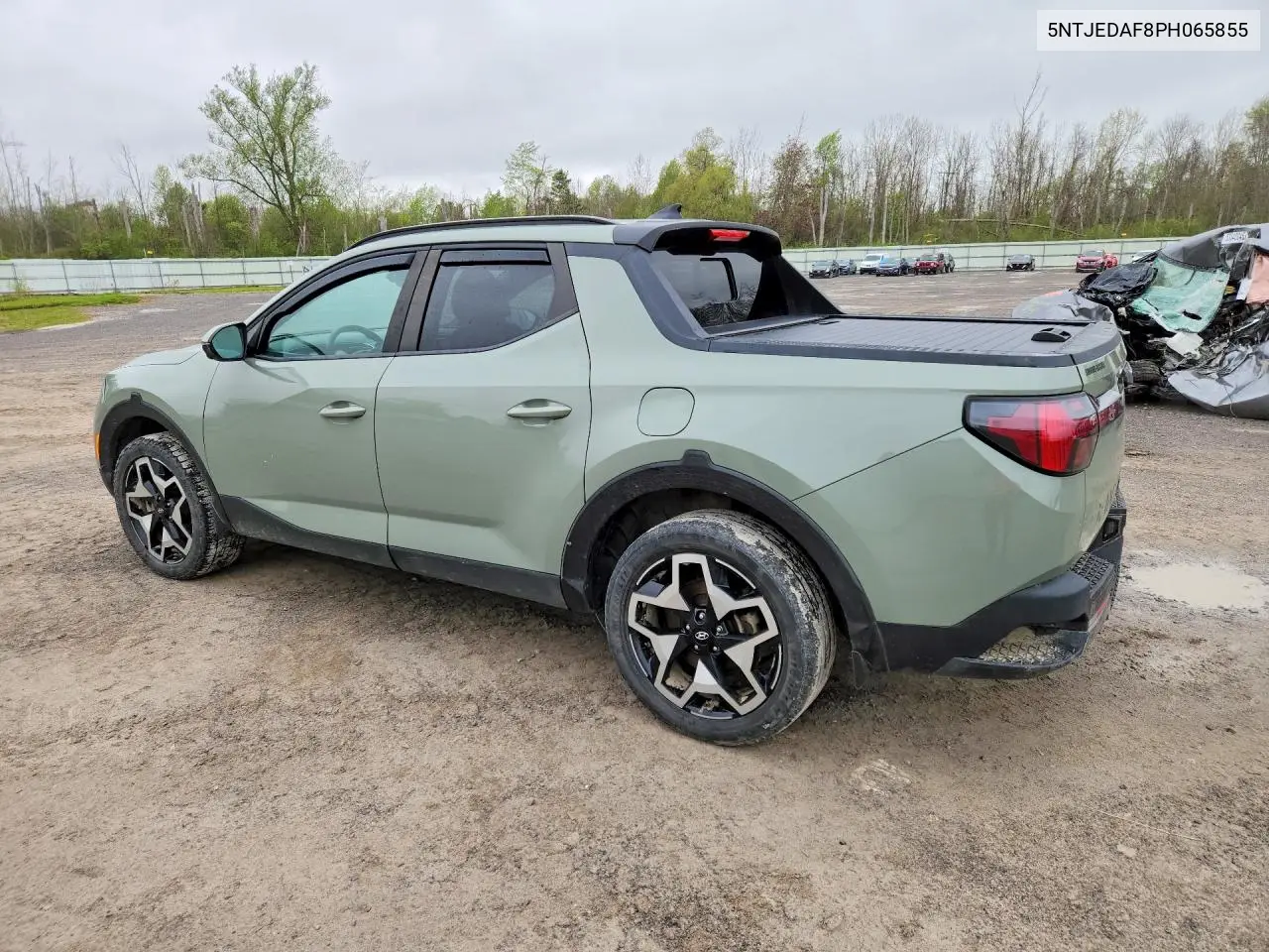 2023 Hyundai Santa Cruz Limited VIN: 5NTJEDAF8PH065855 Lot: 53302606