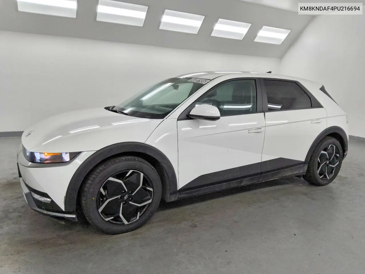 2023 Hyundai Ioniq 5 Sel VIN: KM8KNDAF4PU216694 Lot: 55381956