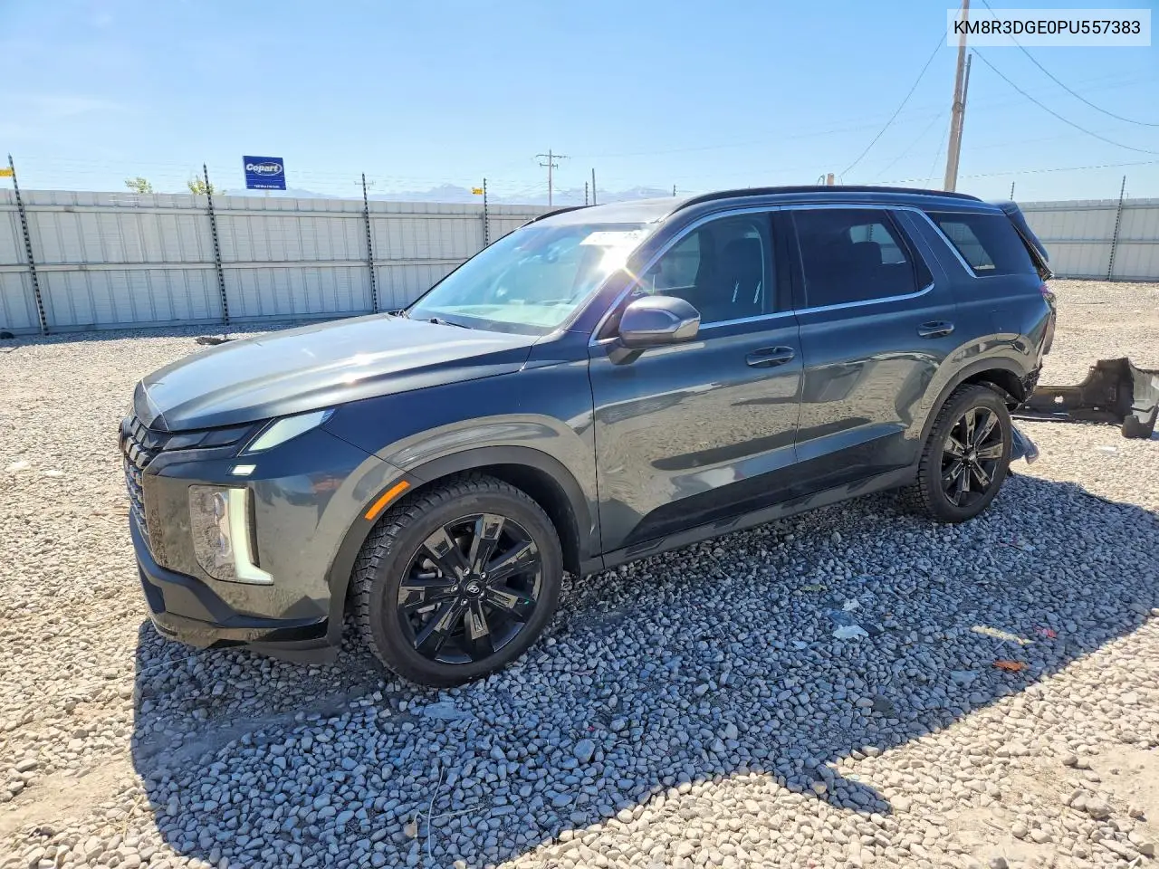2023 Hyundai Palisade Xrt VIN: KM8R3DGE0PU557383 Lot: 57785306