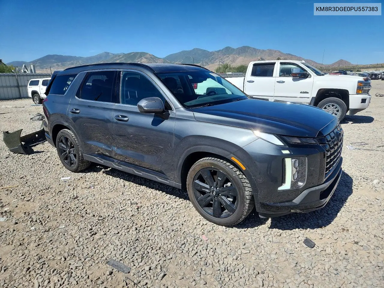 2023 Hyundai Palisade Xrt VIN: KM8R3DGE0PU557383 Lot: 57785306