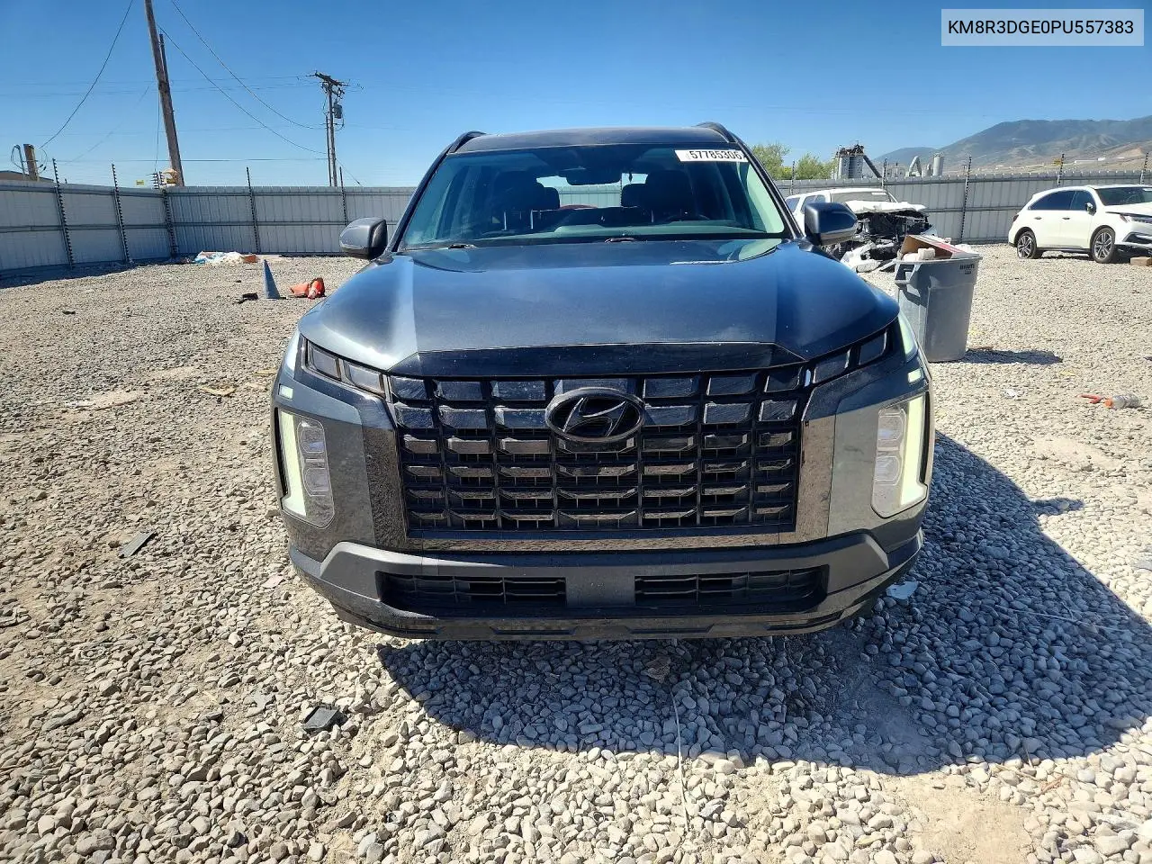 2023 Hyundai Palisade Xrt VIN: KM8R3DGE0PU557383 Lot: 57785306
