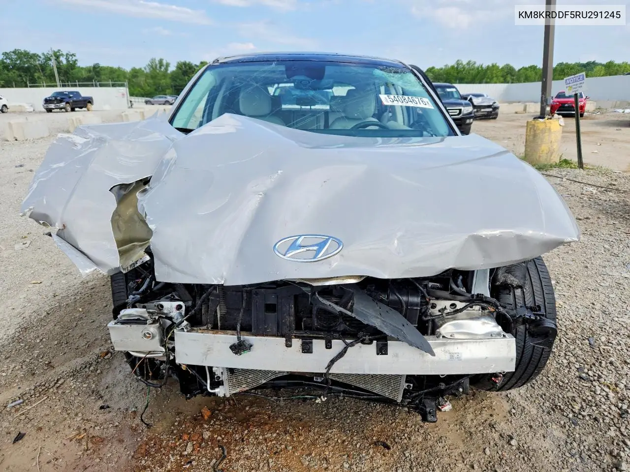 2024 Hyundai Ioniq 5 Limited VIN: KM8KRDDF5RU291245 Lot: 54084676