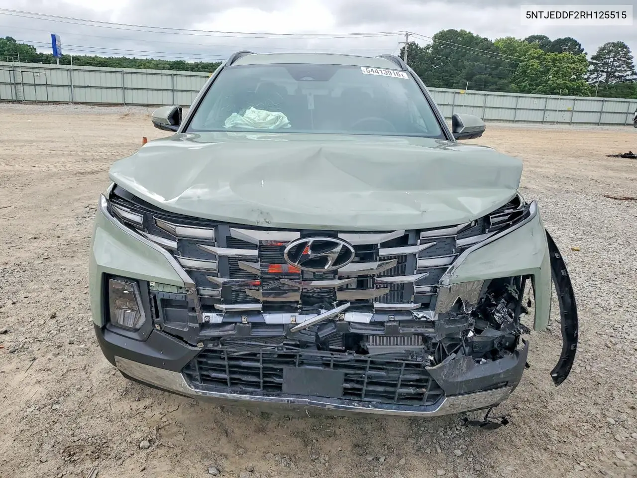 2024 Hyundai Santa Cruz Limited VIN: 5NTJEDDF2RH125515 Lot: 54413916