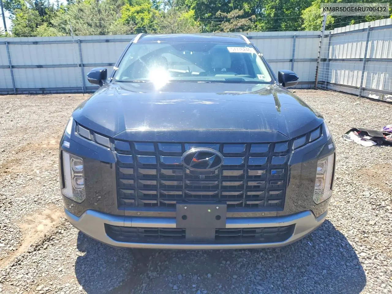 2024 Hyundai Palisade Limited VIN: KM8R5DGE6RU700432 Lot: 57776246