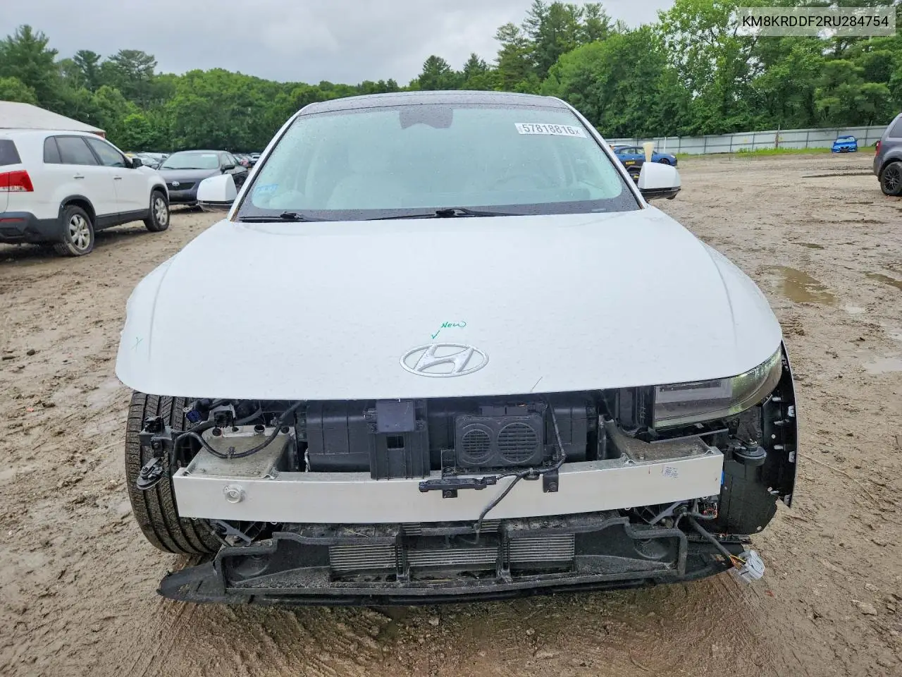 2024 Hyundai Ioniq 5 Limited VIN: KM8KRDDF2RU284754 Lot: 57818816