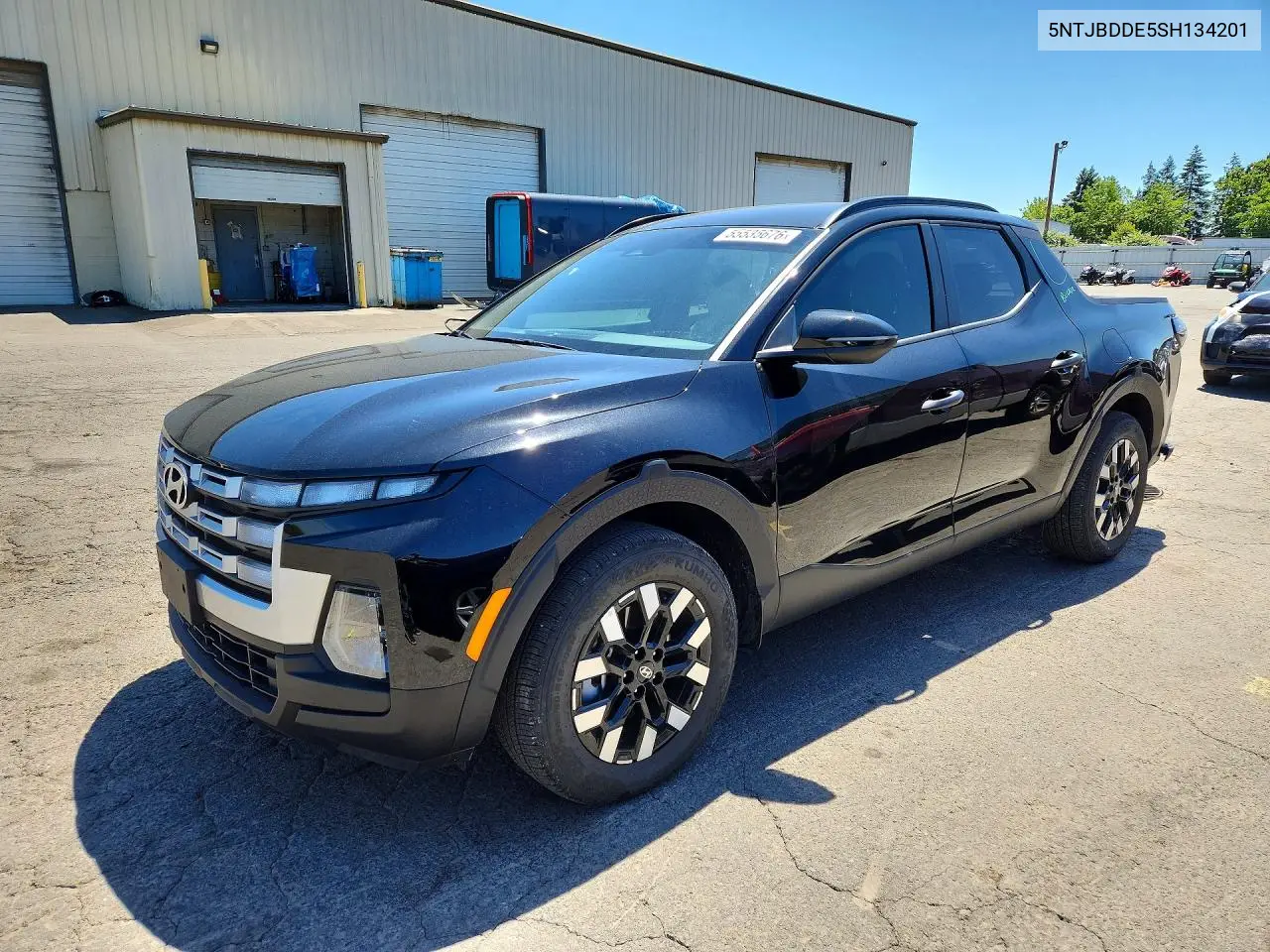 2025 Hyundai Santa Cruz Sel VIN: 5NTJBDDE5SH134201 Lot: 55535676