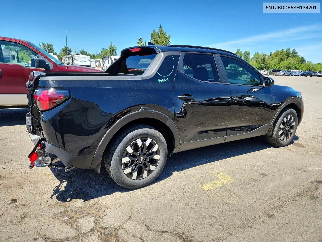 2025 Hyundai Santa Cruz Sel VIN: 5NTJBDDE5SH134201 Lot: 55535676
