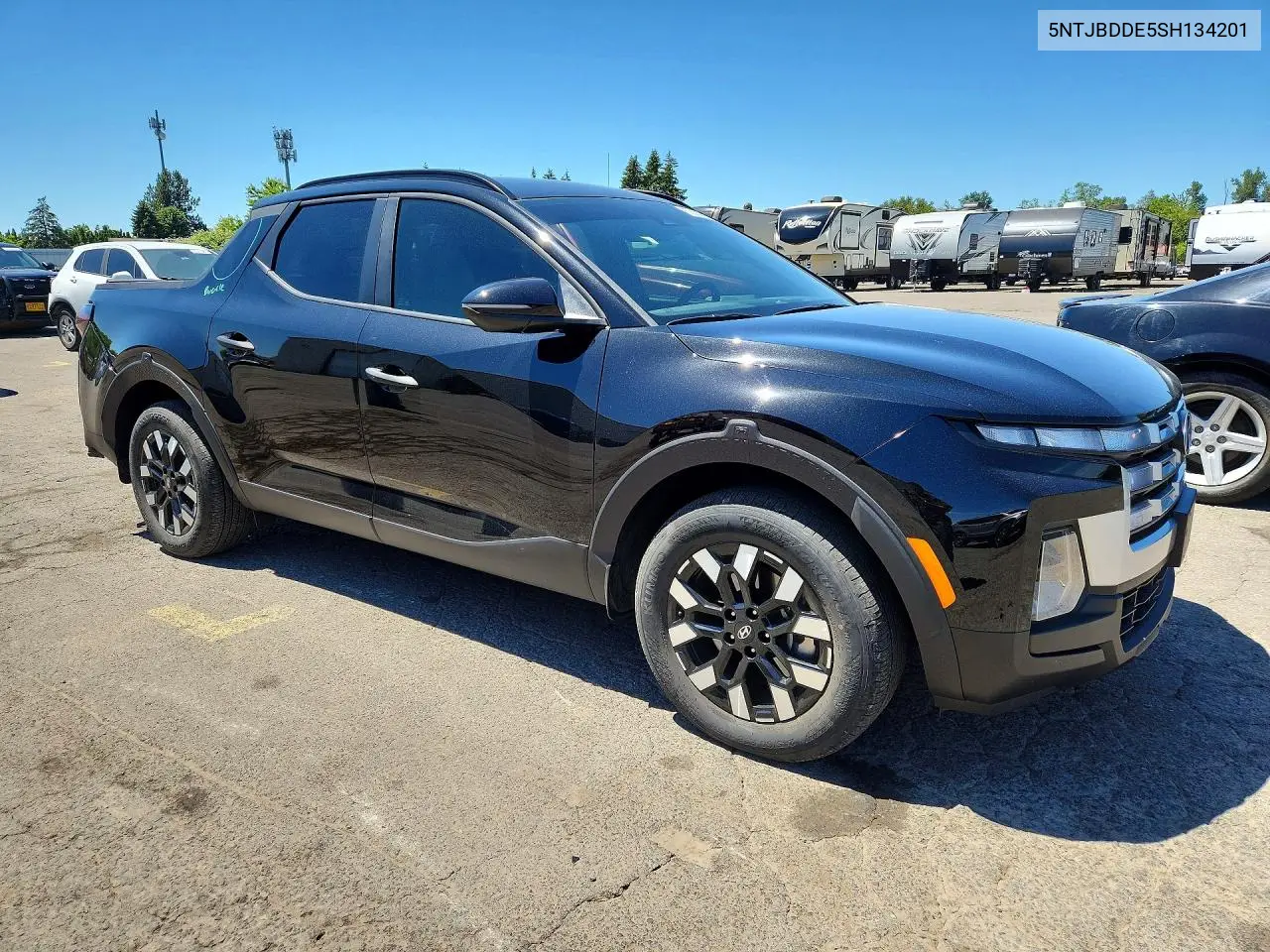 2025 Hyundai Santa Cruz Sel VIN: 5NTJBDDE5SH134201 Lot: 55535676