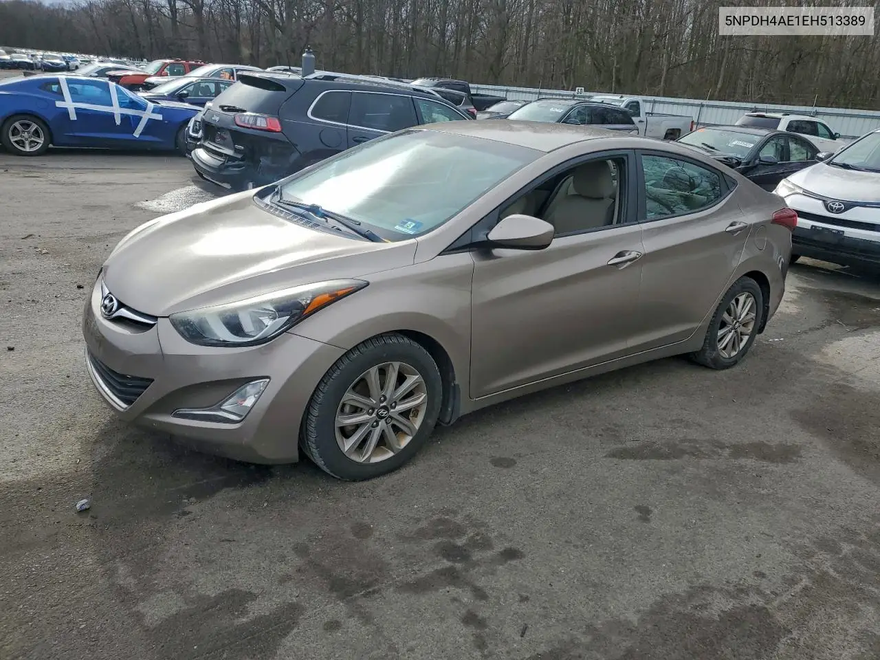5NPDH4AE1EH513389 2014 Hyundai Elantra Se