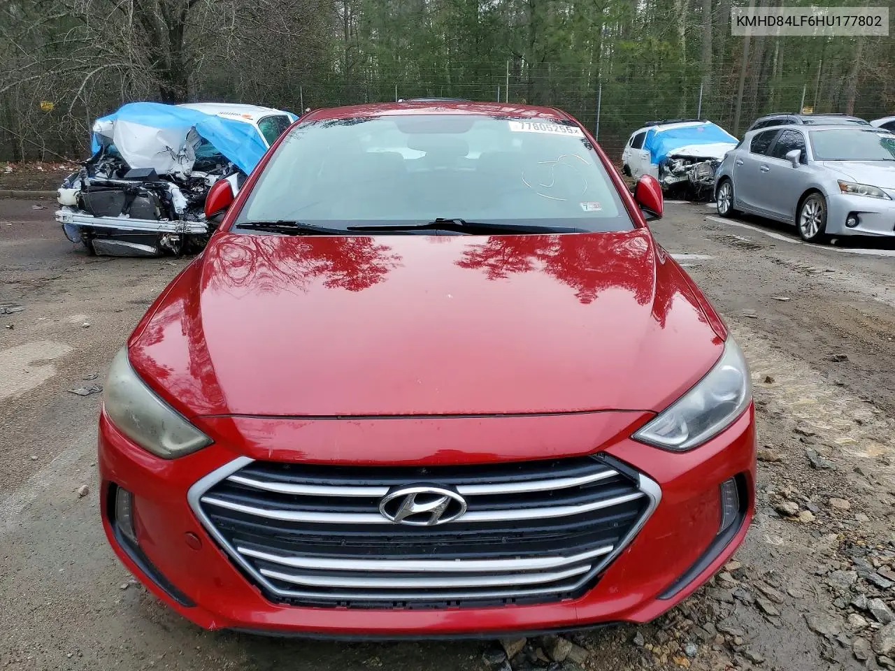 Elantra