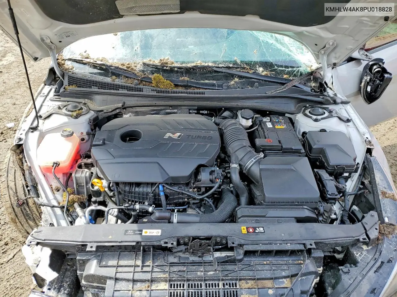 2023 Hyundai Elantra N Base VIN: KMHLW4AK8PU018828 Lot: 48795946