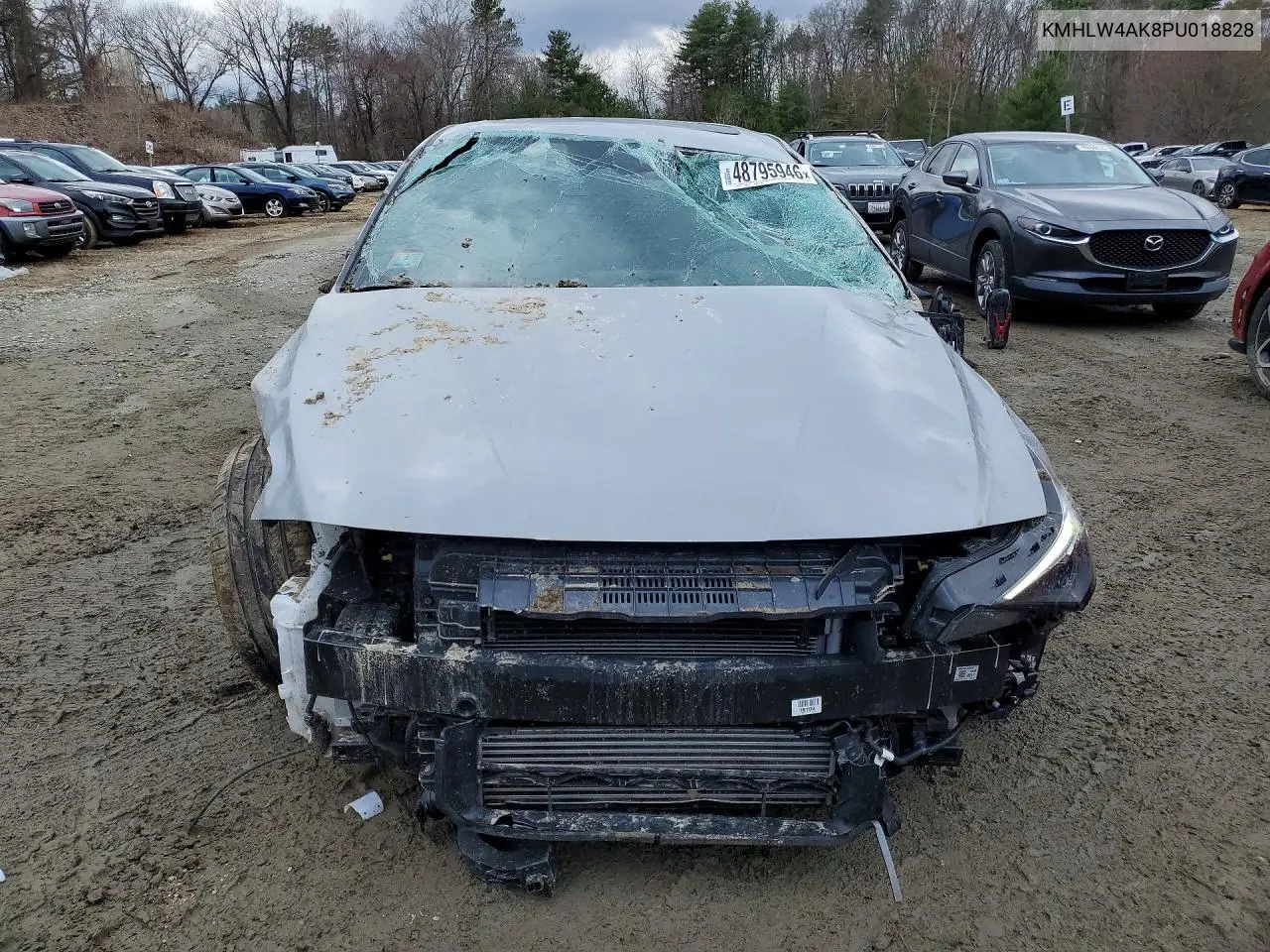 2023 Hyundai Elantra N Base VIN: KMHLW4AK8PU018828 Lot: 48795946