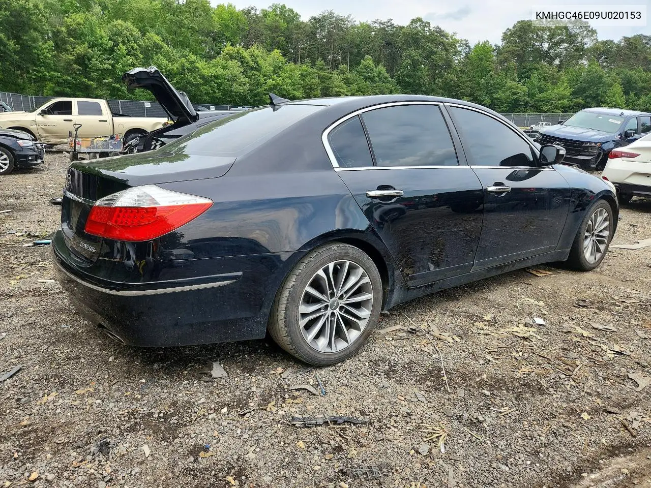 2009 Hyundai Genesis 3.8L VIN: KMHGC46E09U020153 Lot: 59144496