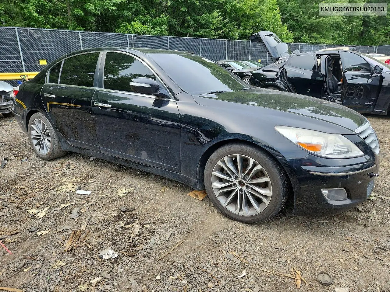 2009 Hyundai Genesis 3.8L VIN: KMHGC46E09U020153 Lot: 59144496