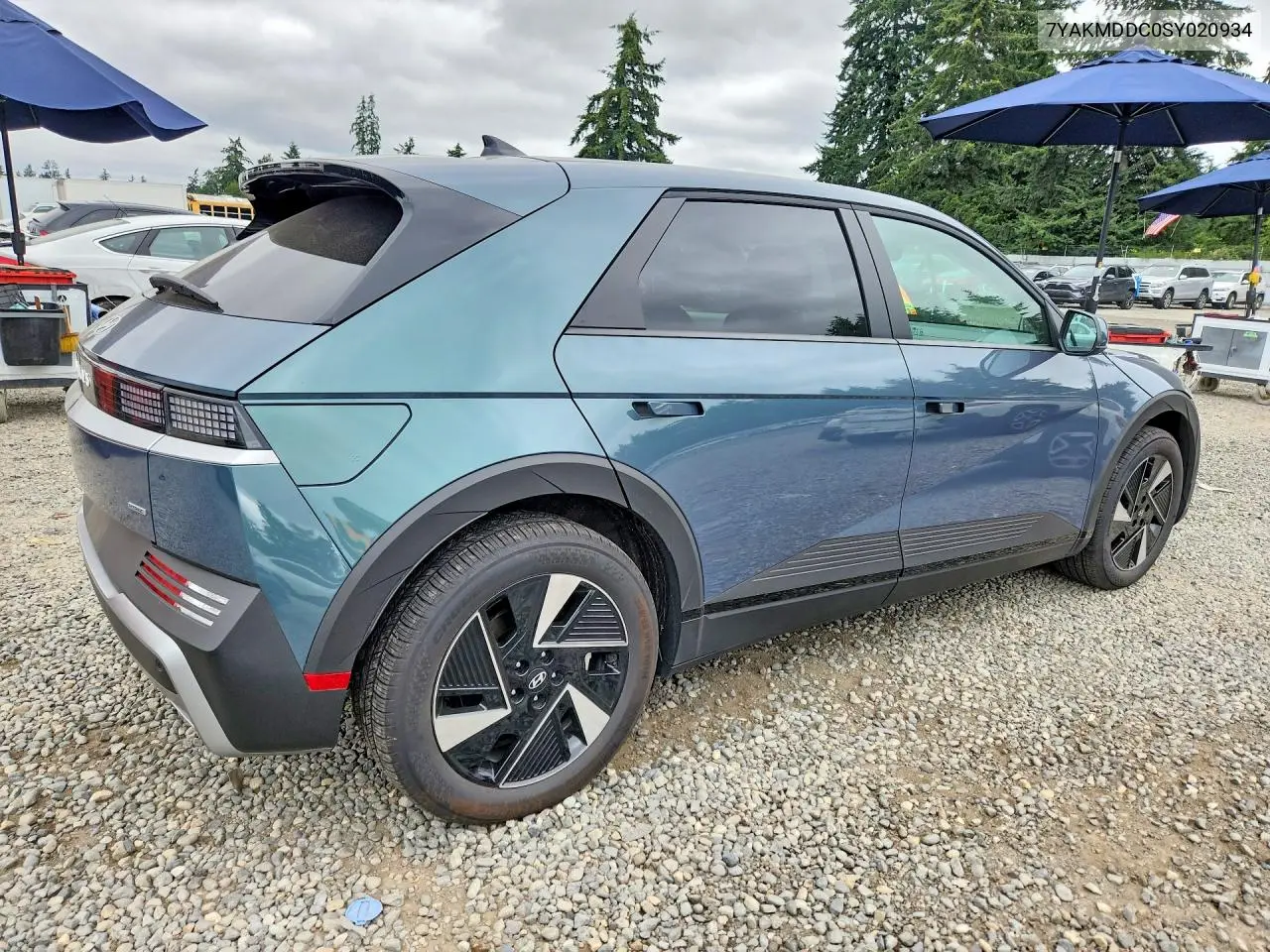 2025 Hyundai Ioniq 5 Se VIN: 7YAKMDDC0SY020934 Lot: 60450906