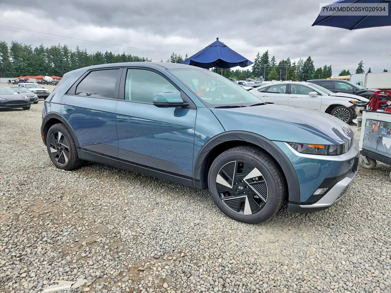 2025 Hyundai Ioniq 5 Se VIN: 7YAKMDDC0SY020934 Lot: 60450906