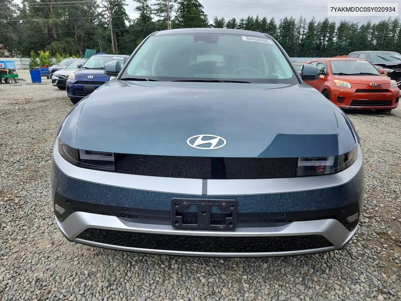 2025 Hyundai Ioniq 5 Se VIN: 7YAKMDDC0SY020934 Lot: 60450906
