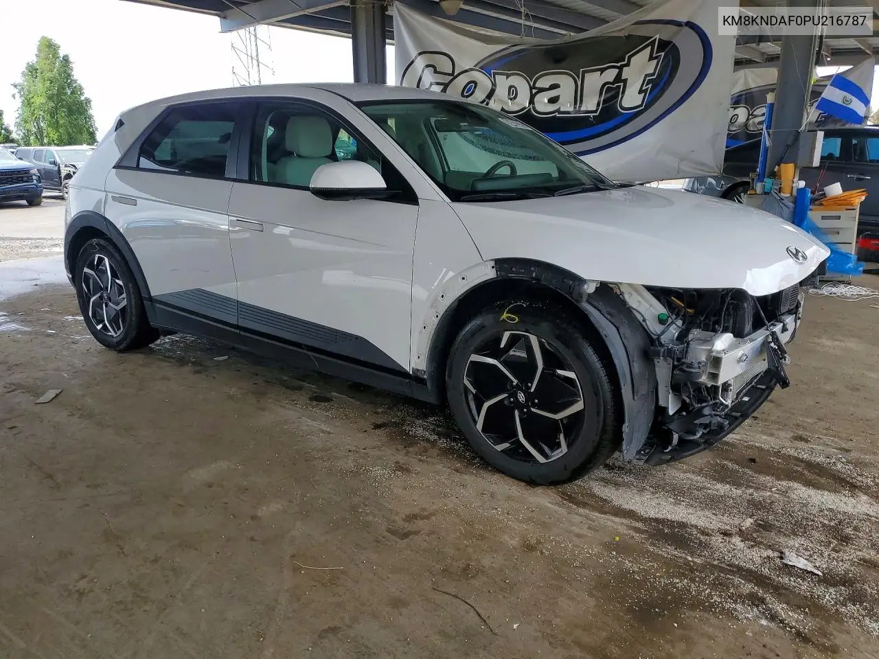 2023 Hyundai Ioniq 5 Sel VIN: KM8KNDAF0PU216787 Lot: 48403326