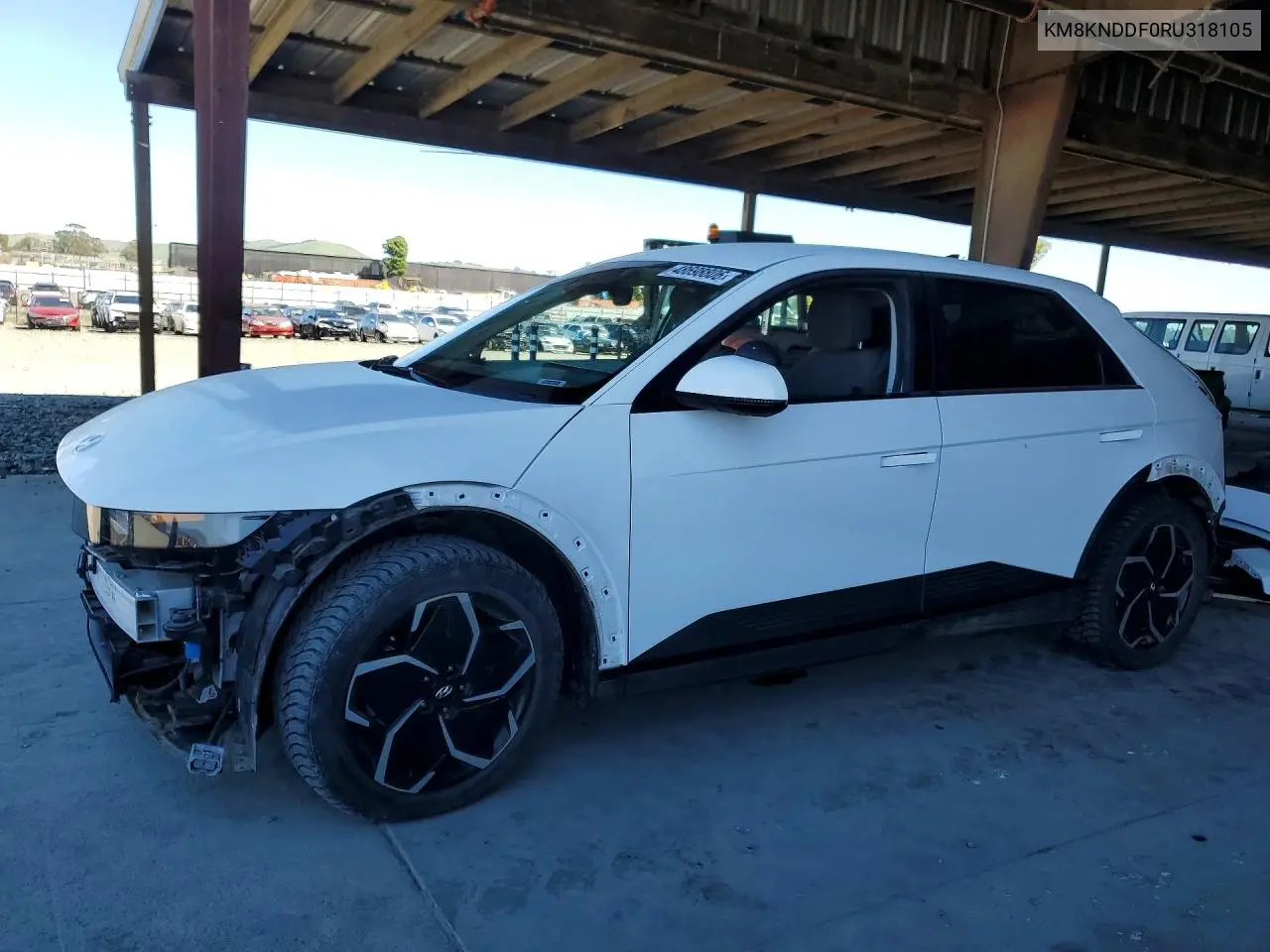 2024 Hyundai Ioniq 5 Sel VIN: KM8KNDDF0RU318105 Lot: 48698806
