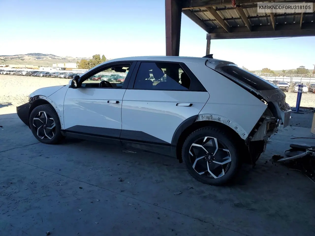 2024 Hyundai Ioniq 5 Sel VIN: KM8KNDDF0RU318105 Lot: 48698806