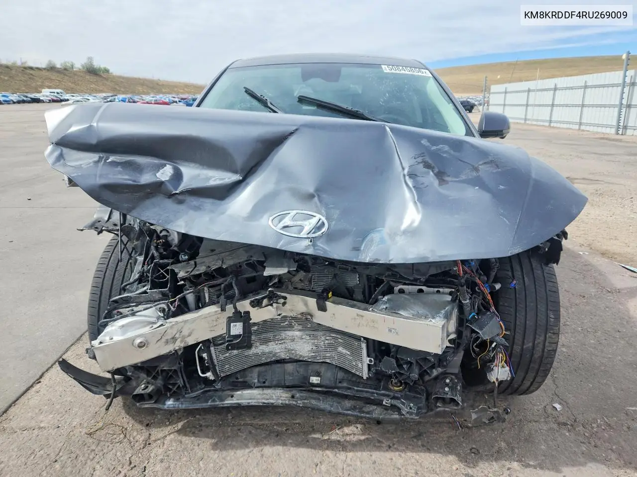 2024 Hyundai Ioniq 5 Limited VIN: KM8KRDDF4RU269009 Lot: 50845856