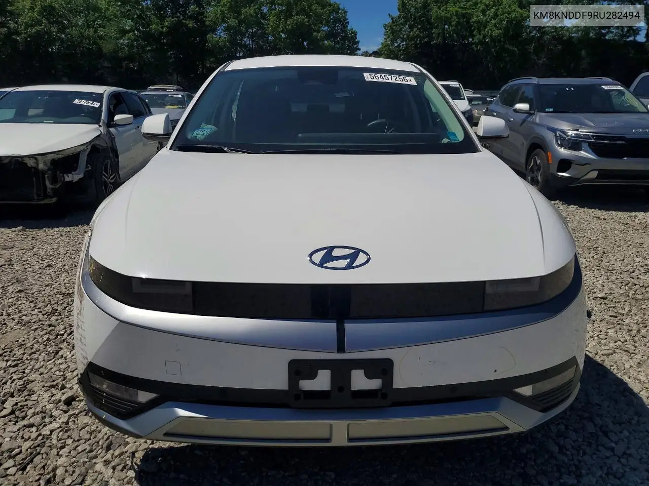 2024 Hyundai Ioniq 5 Sel VIN: KM8KNDDF9RU282494 Lot: 56457256