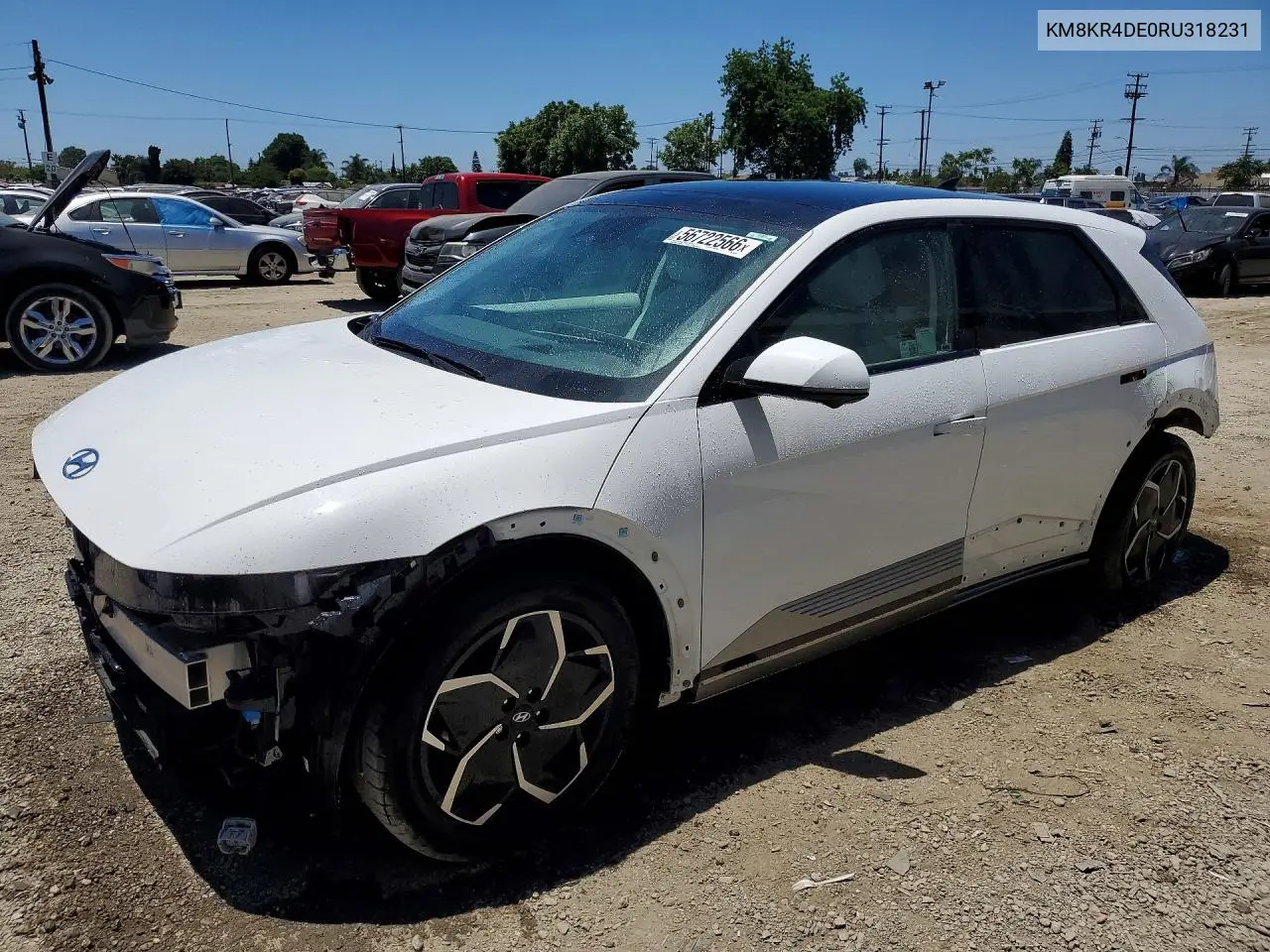 2024 Hyundai Ioniq 5 Limited VIN: KM8KR4DE0RU318231 Lot: 56722566