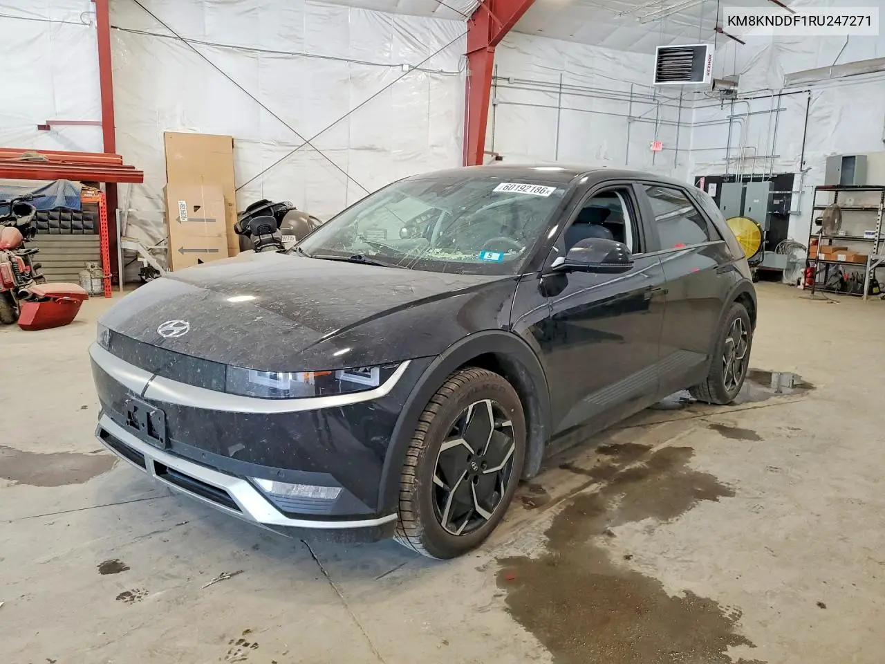 2024 Hyundai Ioniq 5 Sel VIN: KM8KNDDF1RU247271 Lot: 60192186