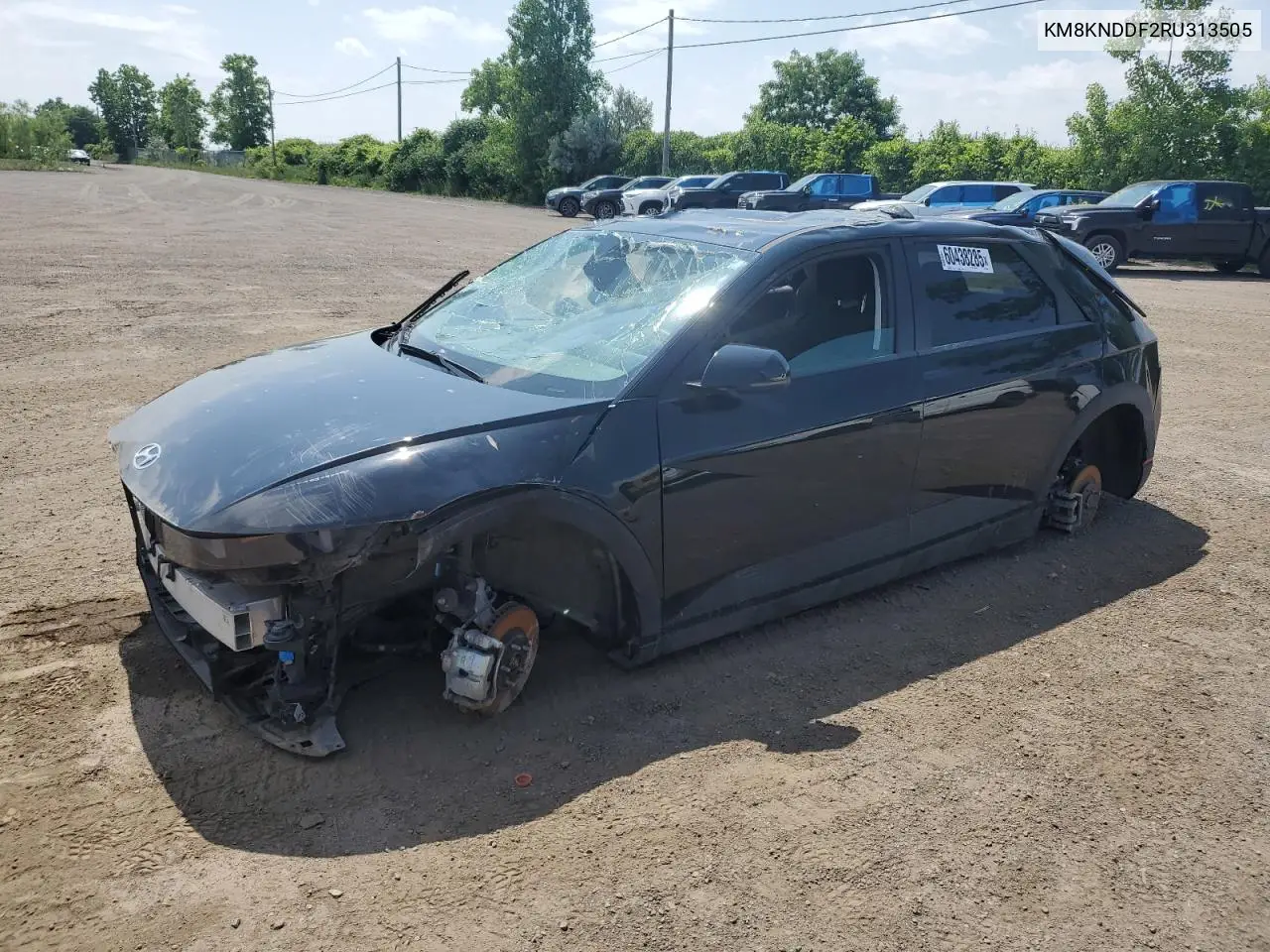 2024 Hyundai Ioniq 5 Sel VIN: KM8KNDDF2RU313505 Lot: 60438285