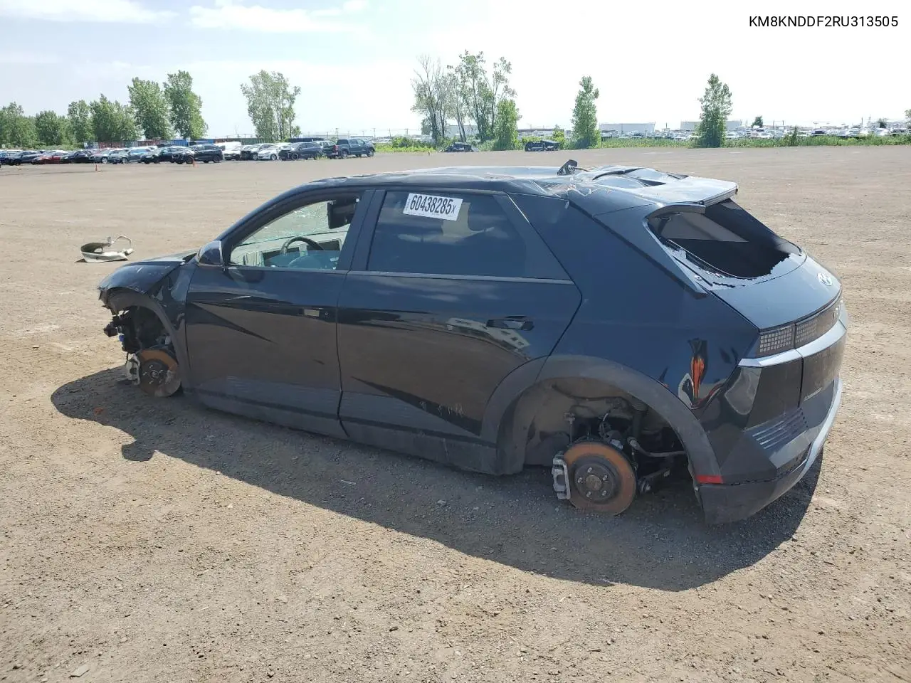 2024 Hyundai Ioniq 5 Sel VIN: KM8KNDDF2RU313505 Lot: 60438285