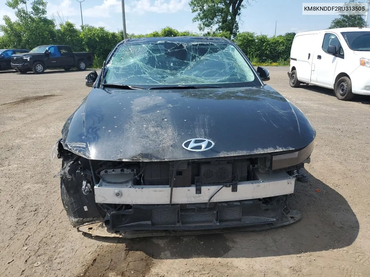 2024 Hyundai Ioniq 5 Sel VIN: KM8KNDDF2RU313505 Lot: 60438285