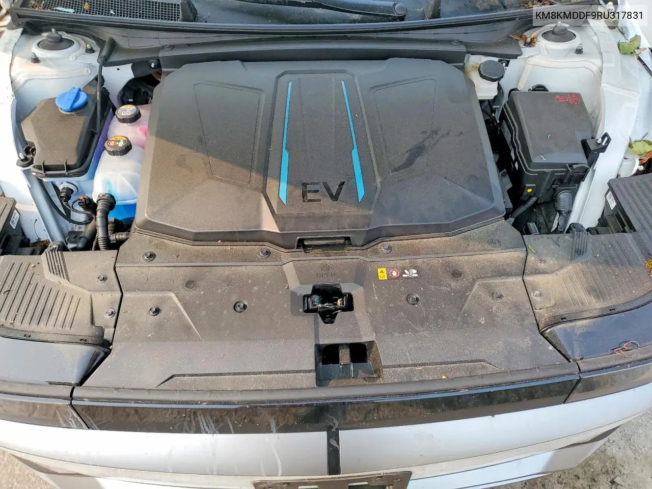 2024 Hyundai Ioniq 5 Se VIN: KM8KMDDF9RU317831 Lot: 60580326