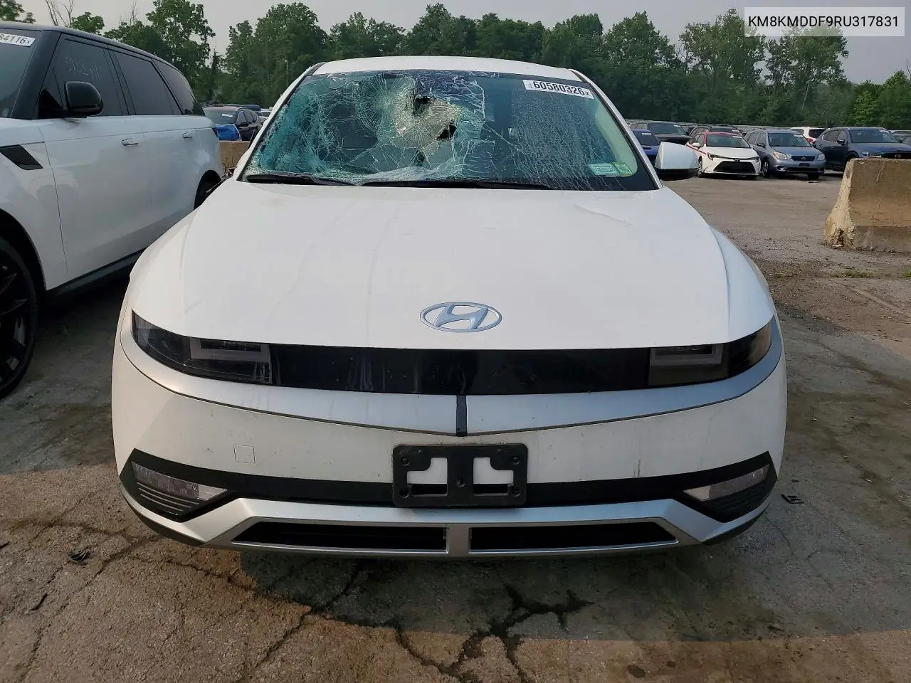 2024 Hyundai Ioniq 5 Se VIN: KM8KMDDF9RU317831 Lot: 60580326