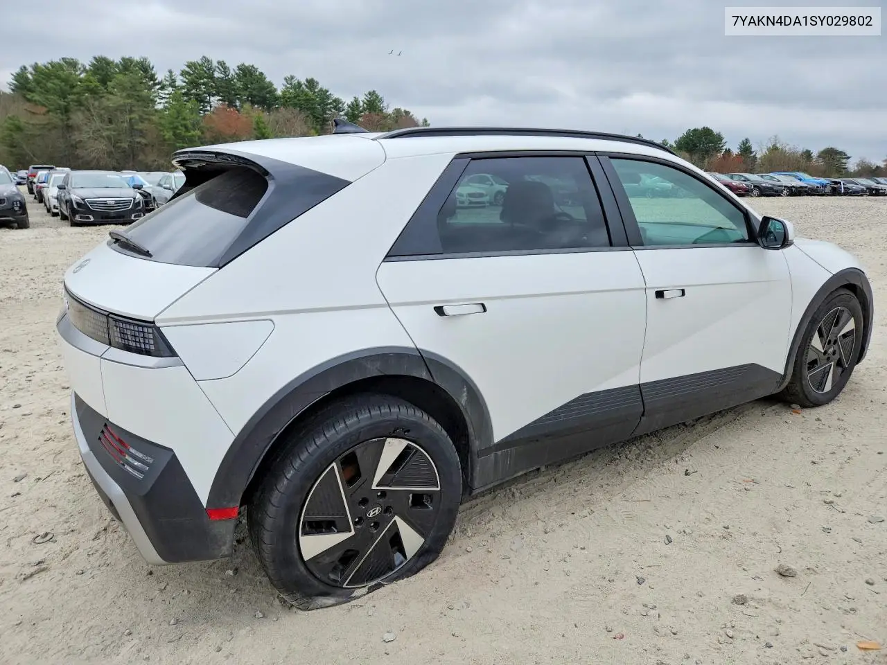 2025 Hyundai Ioniq 5 Sel VIN: 7YAKN4DA9SY028929 Lot: 50333596