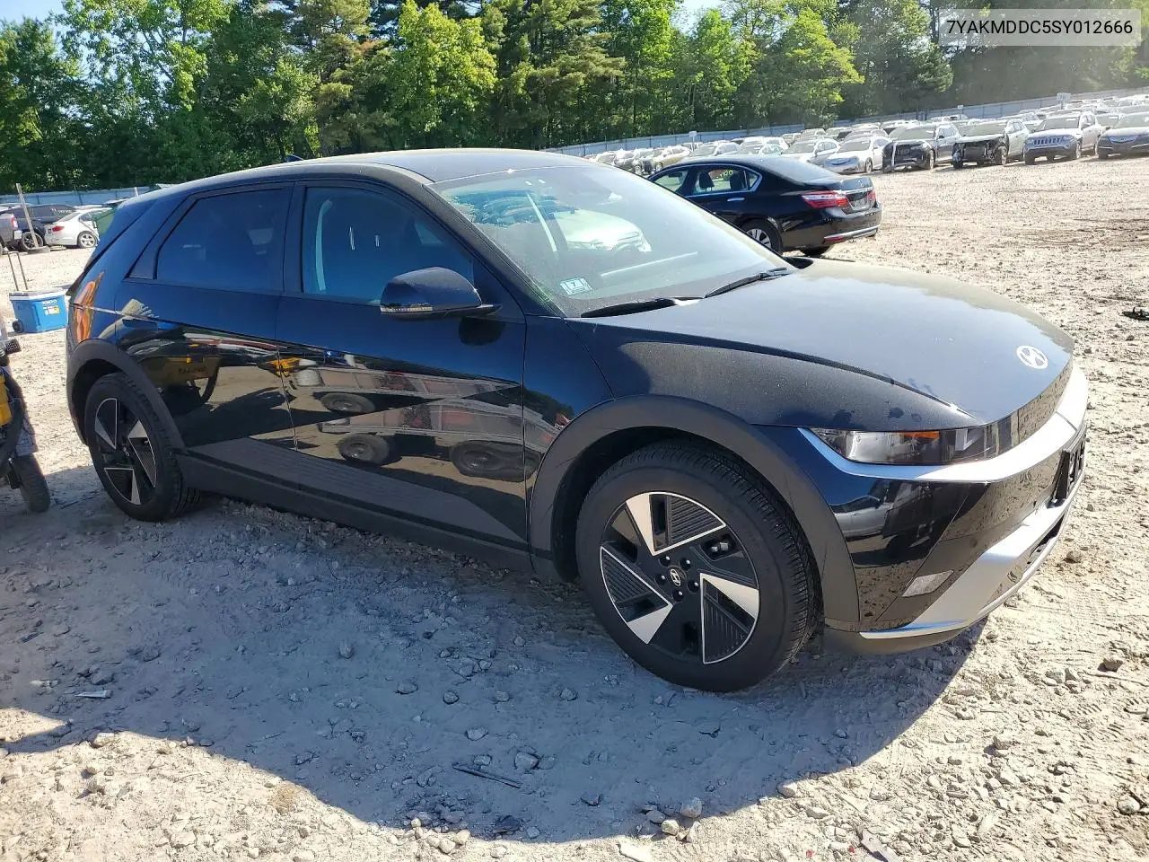 2025 Hyundai Ioniq 5 Se VIN: 7YAKMDDC5SY012666 Lot: 54093396