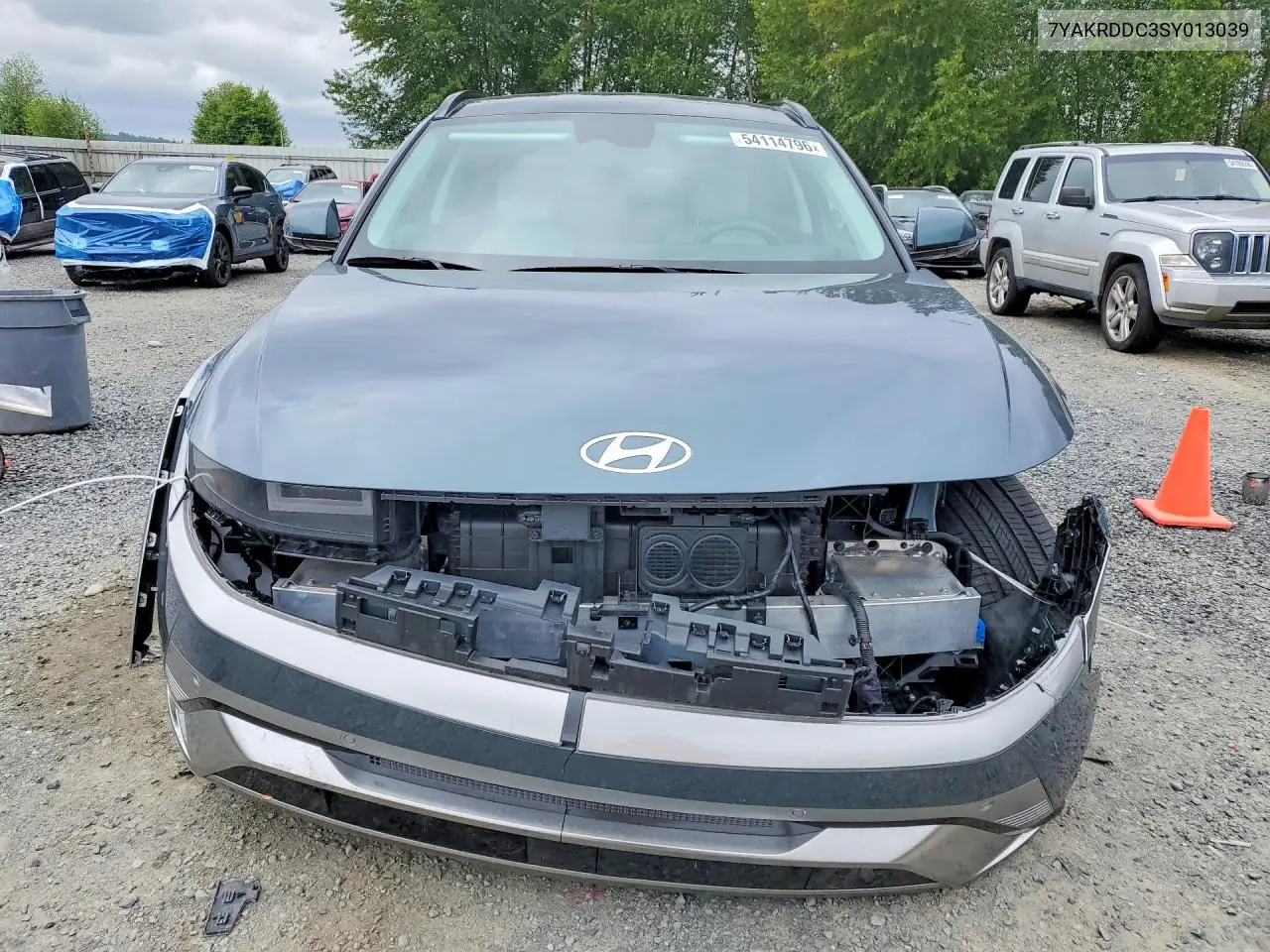 2025 Hyundai Ioniq 5 Limited VIN: 7YAKRDDC3SY013039 Lot: 54114796