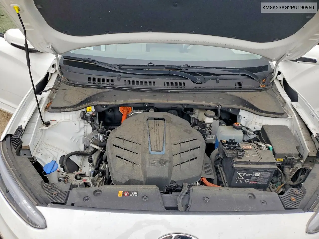 2023 Hyundai Kona Se VIN: KM8K23AG2PU190950 Lot: 59738606