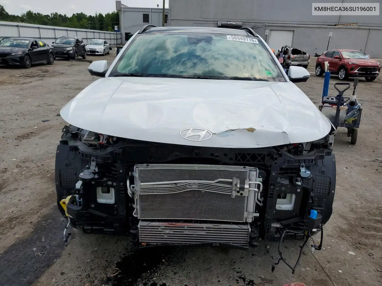 2025 Hyundai Kona Limited VIN: KM8HECA36SU196001 Lot: 58949116