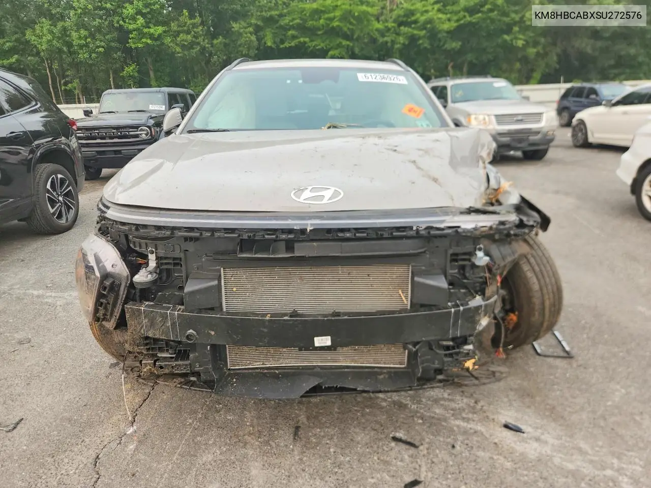 2025 Hyundai Kona Sel VIN: KM8HBCABXSU272576 Lot: 61236926