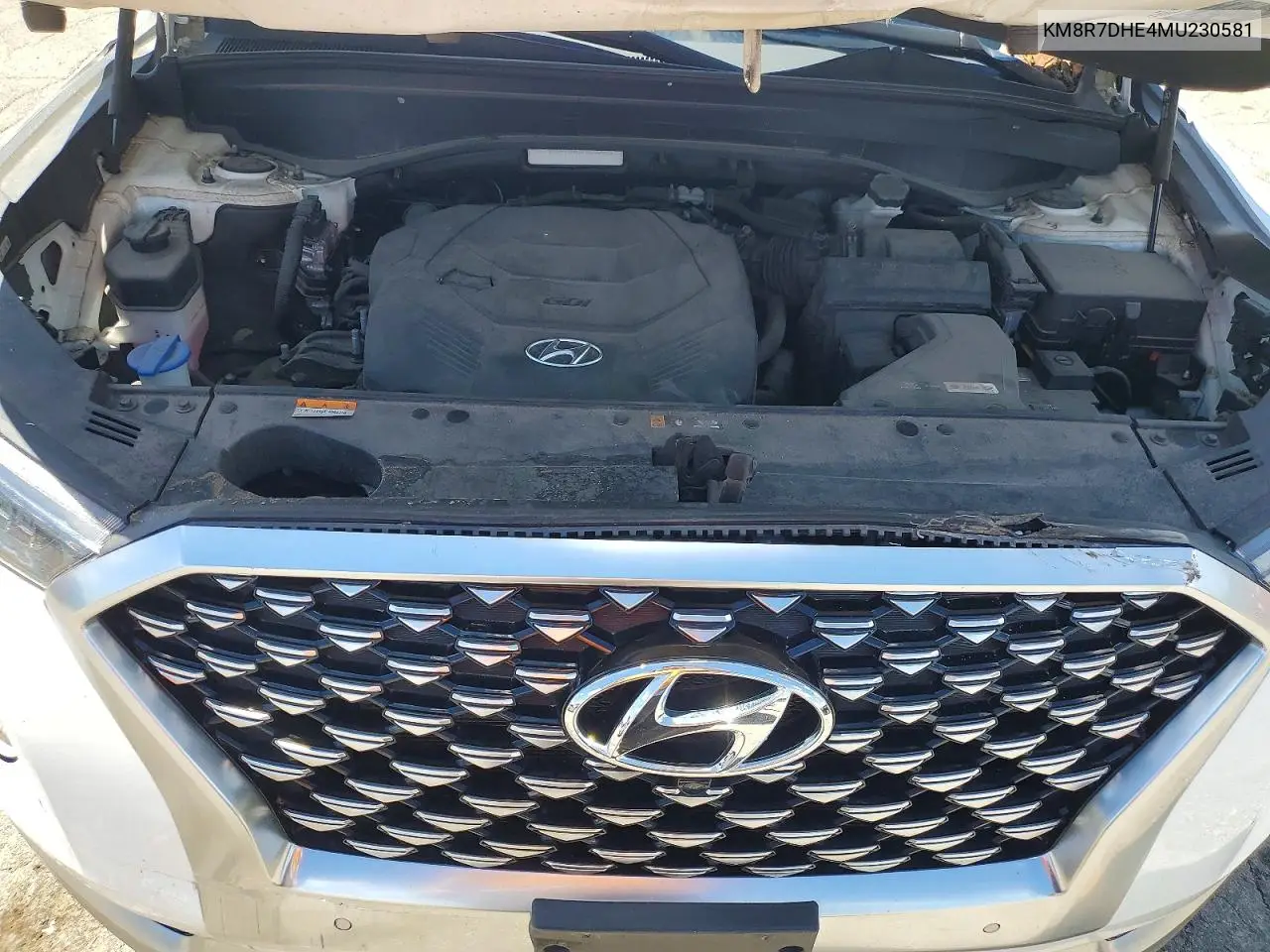 2021 Hyundai Palisade Calligraphy VIN: KM8R7DHE4MU230581 Lot: 57690756